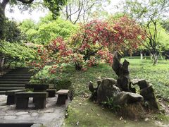 -南山植物园