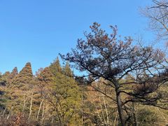 -庐山风景区花径公园