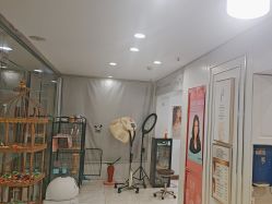 点击看大图 -镁连社·美联社