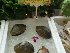 -蚝专家(北滘店)
