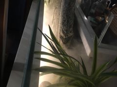 -渔沧米缸·绍兴美食(万达店)