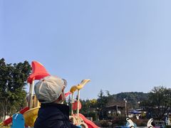 -铁山坪森林公园