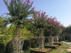 -武汉紫薇都市田园