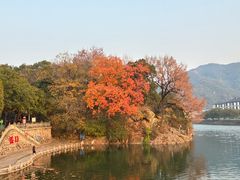 -蒋氏故居