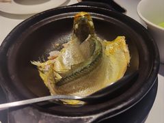 -菉雅苑·湛江菜(前海卓越INTOWN店)
