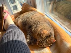 -爱侣宠医·鹦鹉专科·小型哺乳类·异宠专科(灵石路店)