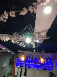 -Ly形象设计