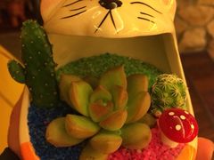 iphone_upload_pic-大耳象东南亚风情餐厅(月湖公园店)
