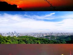 -广州长隆飞鸟乐园
