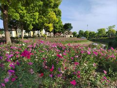 -歌斐颂巧克力小镇