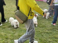 -上海神旺大酒店