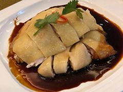 招牌白切鸡-朱仔记食府(江南大道店)