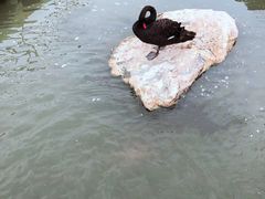 -八景休閒山莊  廣東十大名山莊
