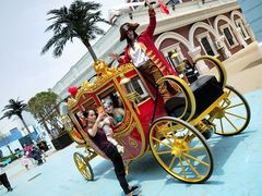 -芜湖新华联大白鲸海洋公园