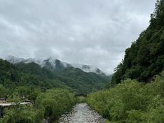 -牛背梁国家森林公园