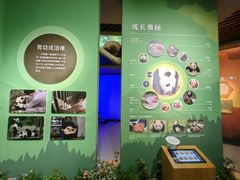 -中国大熊猫保护研究中心雅安碧峰峡基地