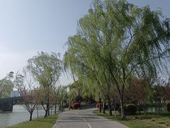 -尚贤河湿地