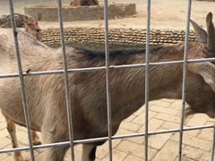 -武汉紫薇都市田园