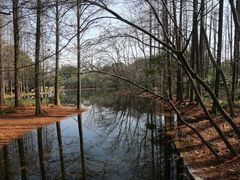 -上海共青森林公园