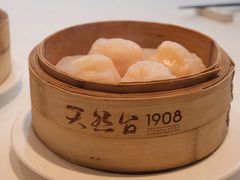 笋尖鲜虾饺-天然台1908(中建广场店)
