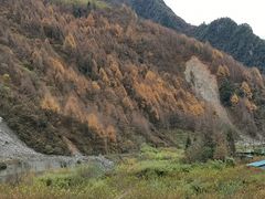 -卧龙自然保护区