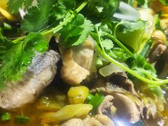 -陈三娃泡姜鸡(太白北路店)