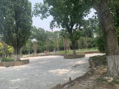 -万泉公园