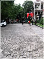 -金太子形象设计