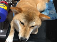 -About Bistro關於·泰式家庭料理