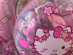 -安吉Hello Kitty乐园