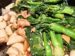 -大榕树下顺德菜(融创茂店)
