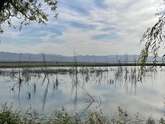 -野鸭湖国家湿地公园