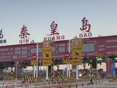 -小叶大馅饺子城