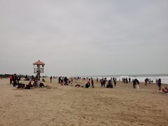 -东海岛旅游度假区
