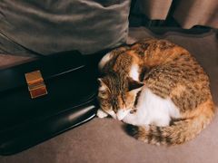 -虚荣精酿酒屋(五羊店)