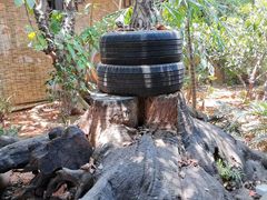 -园林美食城·本土农家菜(杨和镇店)