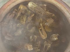 -霞姐屯昌枫木香草鸭店(海螺店)