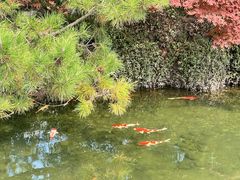 -西郊宾馆·1921餐厅