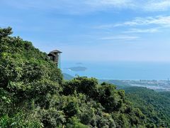 -三亚亚龙湾人间天堂鸟巢度假村