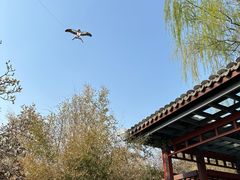 -北坞公园
