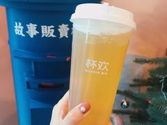 千杯不醉啤酒金凤-杯欢制茶(三里屯店)