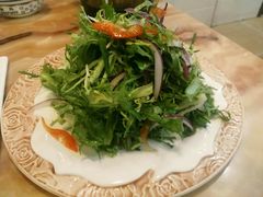 凉拌苦菊-苏莱特色牛骨滩羊手抓馆(长城东街总店)