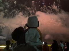 -南宁花花大世界景区