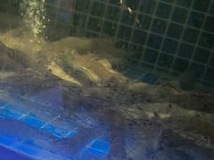 -福禧荟·海鲜自助