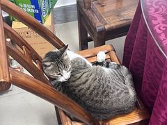 -勇哥饭店(西湖路店)