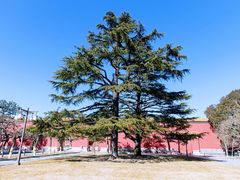 -北京市劳动人民文化宫(太庙)