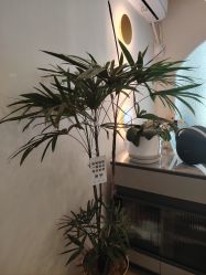-U+YOGA优伽瑜伽·普拉提