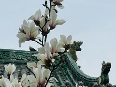 -迎泽公园
