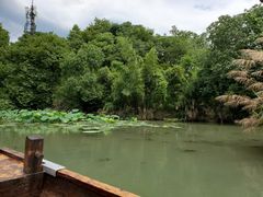 -西溪国家湿地公园