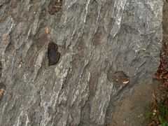 -百味地锅鸡(二店·财校分店)